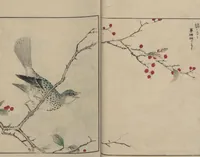 An illustration from Picture Album of Various Birds (Shūchō gafu 聚鳥畫譜) (1885)