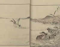 An illustration from Picture Album of Various Birds (Shūchō gafu 聚鳥畫譜) (1885)