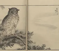 An illustration from Picture Album of Various Birds (Shūchō gafu 聚鳥畫譜) (1885)