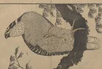 An illustration from Pictures after Nature (Hokusai shashin gafu) (1814)