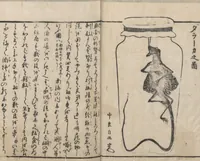 An illustration from Chats on Novelties of Foreign Lands (Kōmōzatsuwa 紅毛雑話) : [volume 1] (1787)
