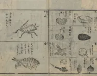 An illustration from Chats on Novelties of Foreign Lands (Kōmōzatsuwa 紅毛雑話) : [volume 3] (1787)