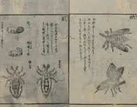Picture 4 of 7 from Chats on Novelties of Foreign Lands (Kōmōzatsuwa 紅毛雑話) : [volume 3] (1787), leaf 20