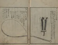 Picture 2 of 33 from Chats on Novelties of Foreign Lands (Kōmōzatsuwa 紅毛雑話) (1796), leaf 23