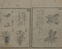 An illustration from Chats on Novelties of Foreign Lands (Kōmōzatsuwa 紅毛雑話) (1796)