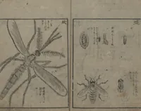 An illustration from Chats on Novelties of Foreign Lands (Kōmōzatsuwa 紅毛雑話) (1796)