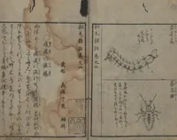Picture 14 of 33 from Chats on Novelties of Foreign Lands (Kōmōzatsuwa 紅毛雑話) (1796), leaf 67