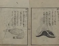 An illustration from Chats on Novelties of Foreign Lands (Kōmōzatsuwa 紅毛雑話) (1796)