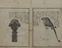 Picture 28 of 33 from Chats on Novelties of Foreign Lands (Kōmōzatsuwa 紅毛雑話) (1796), leaf 95