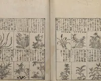 An illustration from Illustrated Encyclopedia of China (Morokoshi kinmō zui 唐土訓蒙図彙) : [volume 2] (1718)
