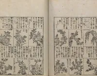An illustration from Illustrated Encyclopedia of China (Morokoshi kinmō zui 唐土訓蒙図彙) : [volume 2] (1718)