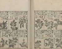 An illustration from Illustrated Encyclopedia of China (Morokoshi kinmō zui 唐土訓蒙図彙) : [volume 2] (1718)
