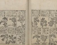 An illustration from Illustrated Encyclopedia of China (Morokoshi kinmō zui 唐土訓蒙図彙) : [volume 2] (1718)