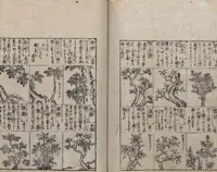 An illustration from Illustrated Encyclopedia of China (Morokoshi kinmō zui 唐土訓蒙図彙) : [volume 2] (1718)