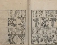 An illustration from Illustrated Encyclopedia of China (Morokoshi kinmō zui 唐土訓蒙図彙) : [volume 2] (1718)