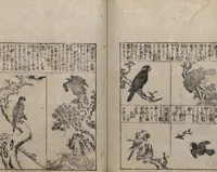 An illustration from Illustrated Encyclopedia of China (Morokoshi kinmō zui 唐土訓蒙図彙) : [volume 2] (1718)