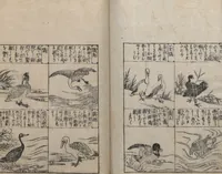 An illustration from Illustrated Encyclopedia of China (Morokoshi kinmō zui 唐土訓蒙図彙) : [volume 2] (1718)