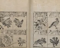 An illustration from Illustrated Encyclopedia of China (Morokoshi kinmō zui 唐土訓蒙図彙) : [volume 2] (1718)