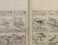 An illustration from Illustrated Encyclopedia of China (Morokoshi kinmō zui 唐土訓蒙図彙) : [volume 2] (1718)