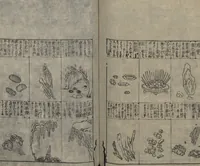 An illustration from Illustrated Encyclopedia of China (Morokoshi kinmō zui 唐土訓蒙図彙) : [volume 2] (1718)