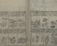 An illustration from Illustrated Encyclopedia of China (Morokoshi kinmō zui 唐土訓蒙図彙) : [volume 2] (1718)