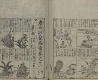 Picture 73 of 121 from Illustrated Encyclopedia of China (Morokoshi kinmō zui 唐土訓蒙図彙) : [volume 2] (1718), leaf 79