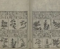 An illustration from Illustrated Encyclopedia of China (Morokoshi kinmō zui 唐土訓蒙図彙) : [volume 2] (1718)