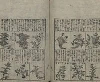 Picture 75 of 121 from Illustrated Encyclopedia of China (Morokoshi kinmō zui 唐土訓蒙図彙) : [volume 2] (1718), leaf 81