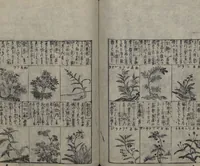 An illustration from Illustrated Encyclopedia of China (Morokoshi kinmō zui 唐土訓蒙図彙) : [volume 2] (1718)