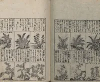 An illustration from Illustrated Encyclopedia of China (Morokoshi kinmō zui 唐土訓蒙図彙) : [volume 2] (1718)