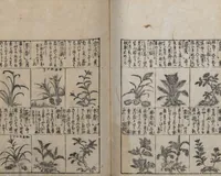 An illustration from Illustrated Encyclopedia of China (Morokoshi kinmō zui 唐土訓蒙図彙) : [volume 2] (1718)