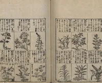 An illustration from Illustrated Encyclopedia of China (Morokoshi kinmō zui 唐土訓蒙図彙) : [volume 2] (1718)
