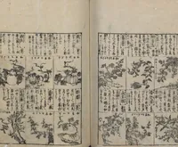 An illustration from Illustrated Encyclopedia of China (Morokoshi kinmō zui 唐土訓蒙図彙) : [volume 2] (1718)