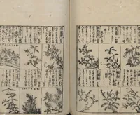 An illustration from Illustrated Encyclopedia of China (Morokoshi kinmō zui 唐土訓蒙図彙) : [volume 2] (1718)