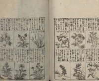 An illustration from Illustrated Encyclopedia of China (Morokoshi kinmō zui 唐土訓蒙図彙) : [volume 2] (1718)