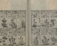 An illustration from Illustrated Encyclopedia of China (Morokoshi kinmō zui 唐土訓蒙図彙) : [volume 2] (1718)
