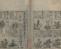 An illustration from Illustrated Encyclopedia of China (Morokoshi kinmō zui 唐土訓蒙図彙) : [volume 2] (1718)
