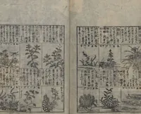 An illustration from Illustrated Encyclopedia of China (Morokoshi kinmō zui 唐土訓蒙図彙) : [volume 2] (1718)
