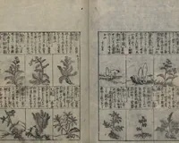 An illustration from Illustrated Encyclopedia of China (Morokoshi kinmō zui 唐土訓蒙図彙) : [volume 2] (1718)