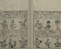 An illustration from Illustrated Encyclopedia of China (Morokoshi kinmō zui 唐土訓蒙図彙) : [volume 2] (1718)