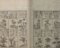 Picture 90 of 121 from Illustrated Encyclopedia of China (Morokoshi kinmō zui 唐土訓蒙図彙) : [volume 2] (1718), leaf 97