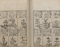 An illustration from Illustrated Encyclopedia of China (Morokoshi kinmō zui 唐土訓蒙図彙) : [volume 2] (1718)