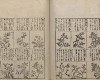 An illustration from Illustrated Encyclopedia of China (Morokoshi kinmō zui 唐土訓蒙図彙) : [volume 2] (1718)