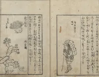 An illustration from A Diary of Travel from Edo to Nagasaki (Saiyū ryodan, 西遊旅譚) : [volume 1] (1803)