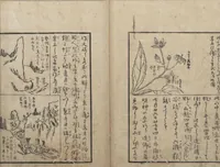 An illustration from A Diary of Travel from Edo to Nagasaki (Saiyū ryodan, 西遊旅譚) : [volume 1] (1803)