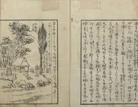 An illustration from A Diary of Travel from Edo to Nagasaki (Saiyū ryodan, 西遊旅譚) : [volume 2] (1803)