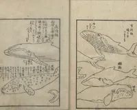 An illustration from A Diary of Travel from Edo to Nagasaki (Saiyū ryodan, 西遊旅譚) : [volume 4] (1803)