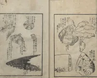 An illustration from A Diary of Travel from Edo to Nagasaki (Saiyū ryodan, 西遊旅譚) : [volume 4] (1803)