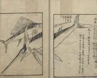Picture 14 of 15 from A Diary of Travel from Edo to Nagasaki (Saiyū ryodan, 西遊旅譚) : [volume 4] (1803), leaf 27
