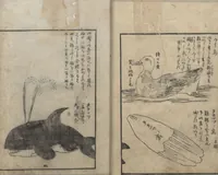 An illustration from A Diary of Travel from Edo to Nagasaki (Saiyū ryodan, 西遊旅譚) : [volume 4] (1803)